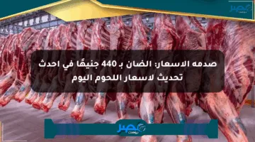 صدمة الأسعار: الضأن بـ 440 جنيهًا في أحدث تحديث لأسعار اللحوم اليوم